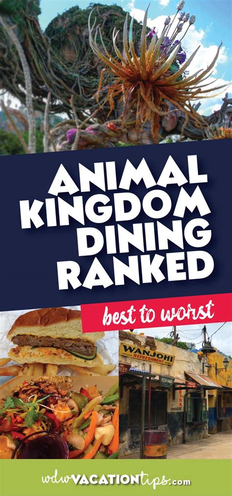 Animal Kingdom Dining Ranked Best to Worst • WDW Vacation Tips