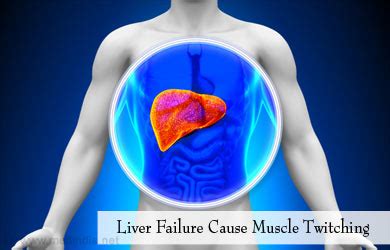 Muscle Twitching | Fasciculations - Causes, Symptoms, Diagnosis, Treatment