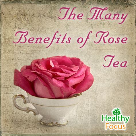 10 Science Backed Benefits of Rose Tea - Healthy Focus