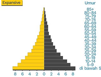 Komposisi penduduk Indonesia berdasarkan usia dan jenis kelamin dalam ...