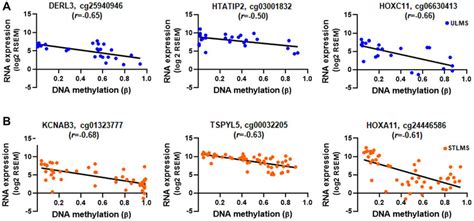 Correlation between gene expression and DNA methylation. RNA expression... | Download Scientific ...