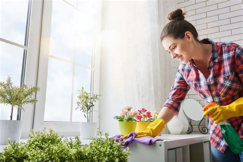 woman-cleaning-her-home - With love from Lou