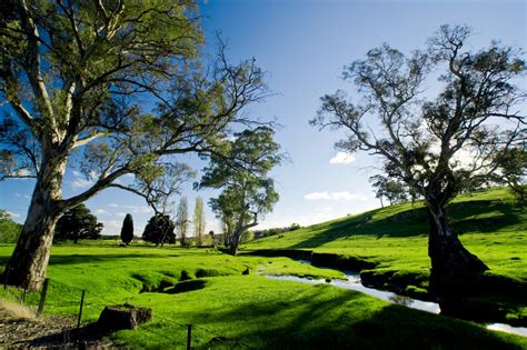 Adelaide Hills - View Background