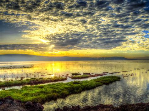 Lake Nakuru, Kenya by Mohamed Nasser. | Nakuru, Kenya, Lake