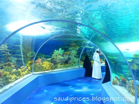 Saudi Prices Blog: Fakieh Aquarium Location and Prices Jeddah