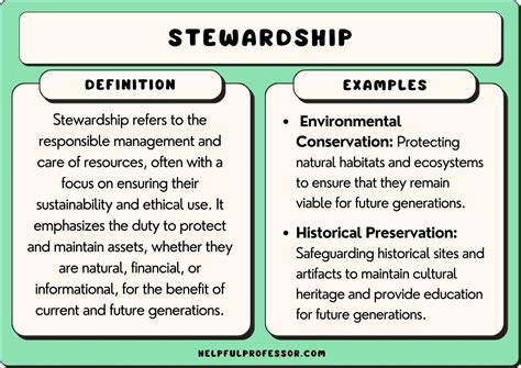 25 Stewardship Examples (2024)