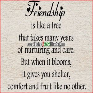 Friendship Quotes About Trees. QuotesGram