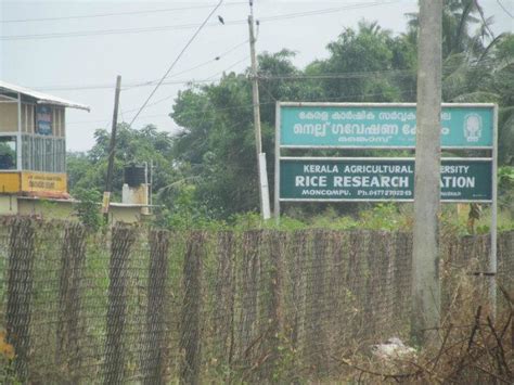 Rice Research Station, Kerala Agricultural University, Monkompu