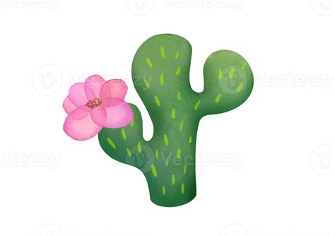 Watercolor clipart blooming green Mexican cactus with pink flower isolated on transparent ...