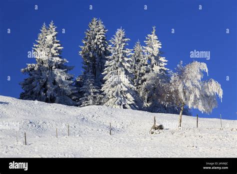 Germany, Bavaria, priest's angle, winter scenery Stock Photo - Alamy