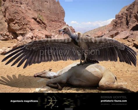 Argentavis magnificens | Prehistoric animals, Prehistoric world ...