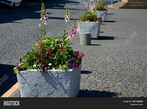 Perennial Flower Beds Image & Photo (Free Trial) | Bigstock