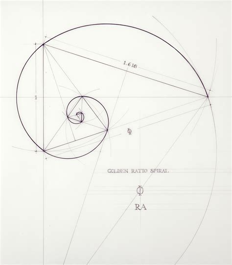 Rafael Araujo Draws Perfect Illustrations by Hand Using Math's Golden Ratio | Inverse