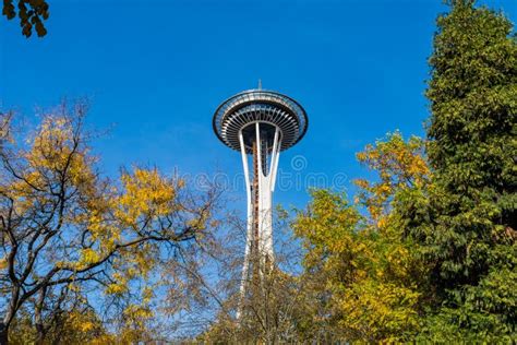 The Space Needle Seen between the Tree Branches of Space Needle Park in ...