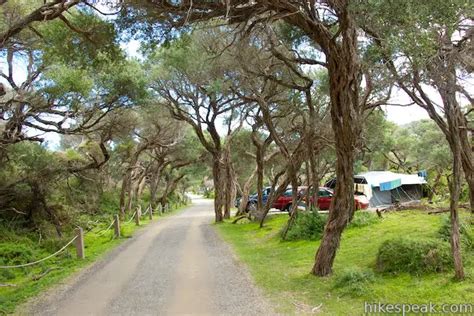 Tidal River Campground | Wilsons Promontory | Australia | Hikespeak.com