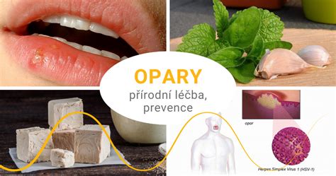 Opary - domácí a přírodní léčba, prevence | Pleva