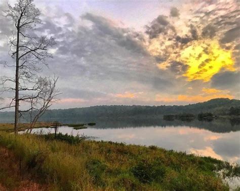 1. Holly Springs National Forest | Florida vacation, National forest ...