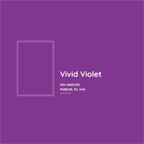 About Vivid Violet - Color codes, similar colors and paints - colorxs.com