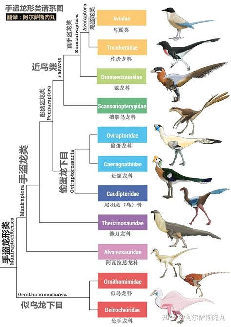 鸟 不 是恐龙？学术风暴中的不和谐音 - 知乎