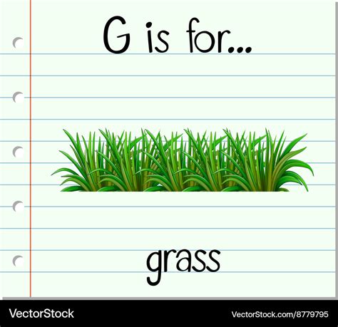 Flashcard letter g is for grass Royalty Free Vector Image