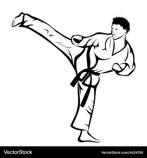 Karate kick Royalty Free Vector Image - VectorStock