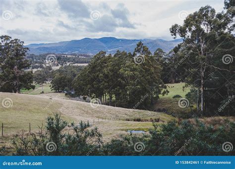 Australian Countryside Landscape in Winter Stock Image - Image of countryside, travel: 153842461