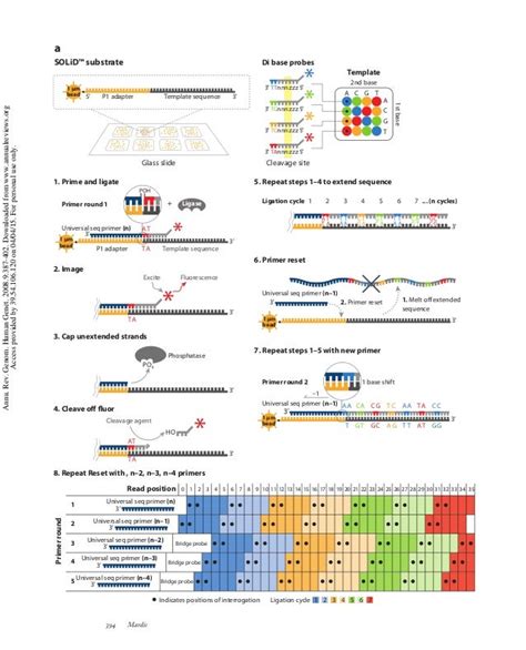 Next Generation Sequencing methods