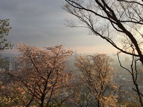 Hiking in Seoul: Namsan - 4corners7seas