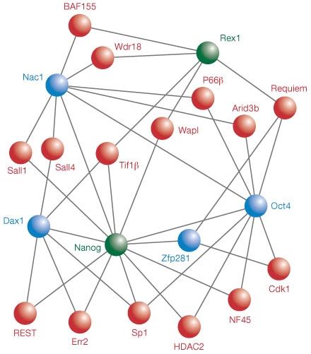 Genomic Memory