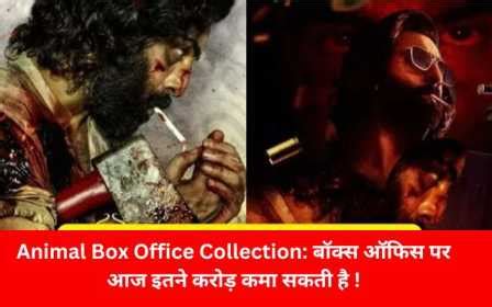 Animal Box Office Collection Day 17: Can Earn So Many crores at the box ...