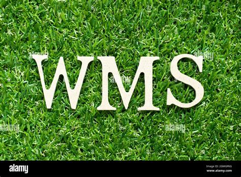 Alphabet letter in word WMS (Abbreviation of warehouse management system) on green grass ...