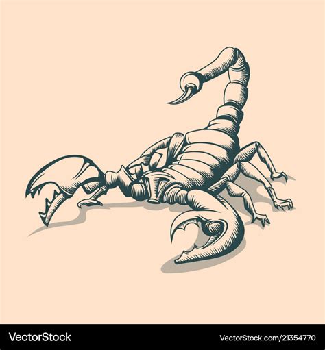 Vintage scorpion drawing tattoo style Royalty Free Vector