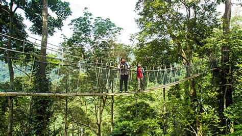 Forest Research Institute Malaysia (FRIM Kepong) – Visit Selangor