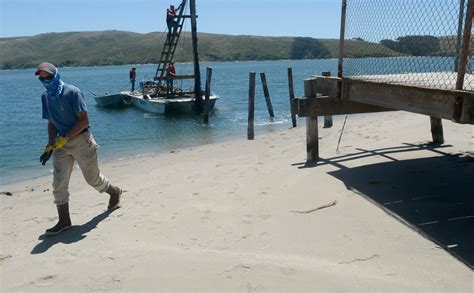 Lawson's Landing dismantling pier on Tomales Bay