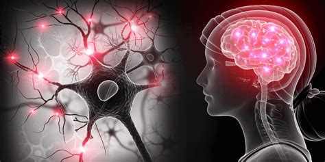 El sistema nervioso humano: qué es, estructura y funciones