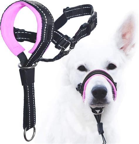 GoodBoy Dog Head Halter with Safety Strap - Stops Heavy Pulling On The Leash - Padded Headcollar ...