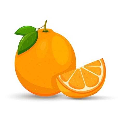 Premium Vector | Orange whole and slices of oranges. vector illustration of oranges. flat design