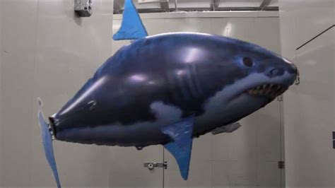 Inflatable Flying Shark escapes from warehouse! - YouTube