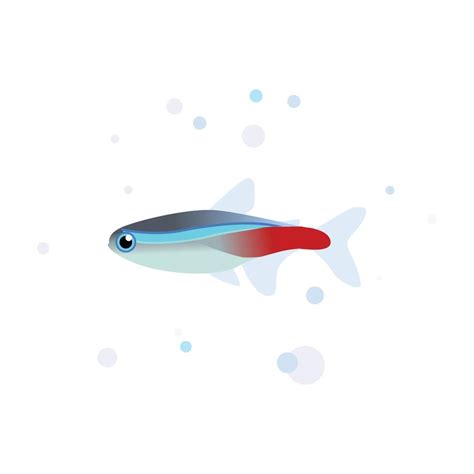 Neon tetra vector design, tetra fish 11421368 Vector Art at Vecteezy