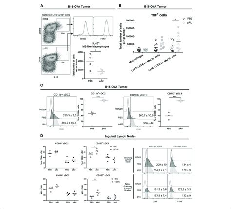 | Poly A:U administration at the tumor site reduces the number of... | Download Scientific Diagram