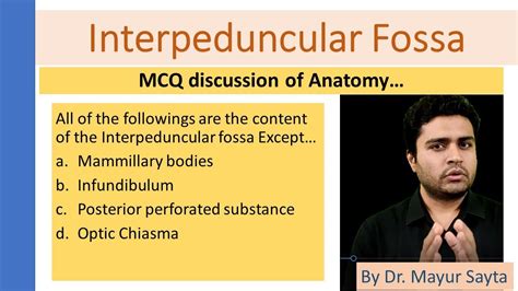 Interpeduncular fossa Anatomy - YouTube