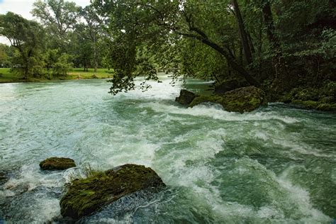 Big Springs State Park – Nature Artwork for Healthcare