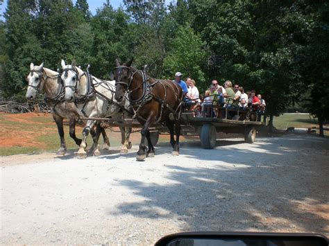 Travel NC With Kids: Lazy 5 Ranch in Mooresville, NC Offers a Ride-through Safari and More