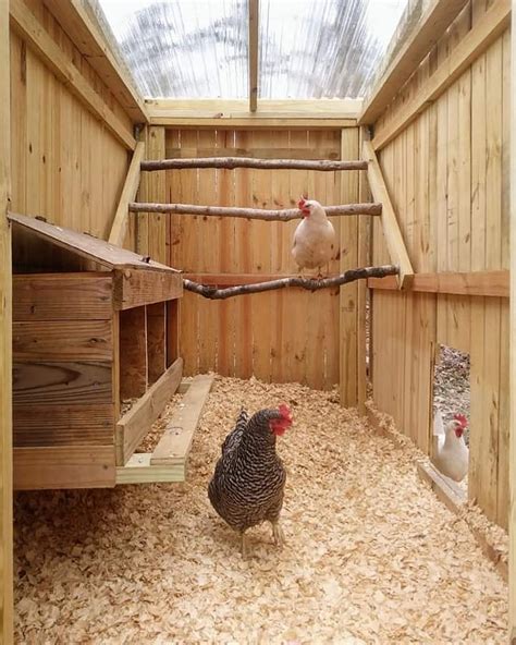 Flora Luna Farm ~ Inside chicken coop | BackYard Chickens - Learn How ...