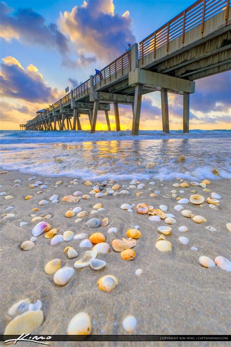 Juno Beach Pier Sunrise Shells at Atlantic Ocean | HDR Photography by ...