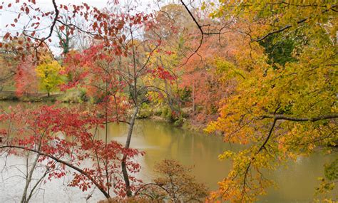 Asheville 2017 Fall Color Report & Forecast | Scenic Views | Asheville, NC's Official Travel Site