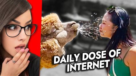 Reacting to Daily Dose Of Internet 😂 - YouTube