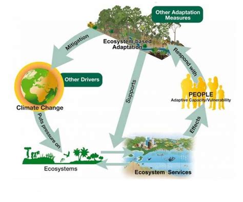 Ecosystem-based Adaptation - resource | IUCN