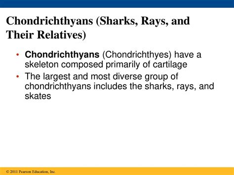 The Origin and Evolution of Vertebrates - ppt download