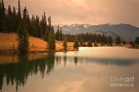 Autumn in Alberta | Fine art america, Wall art, Fine art